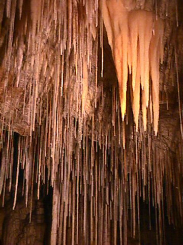 Hastings Cave